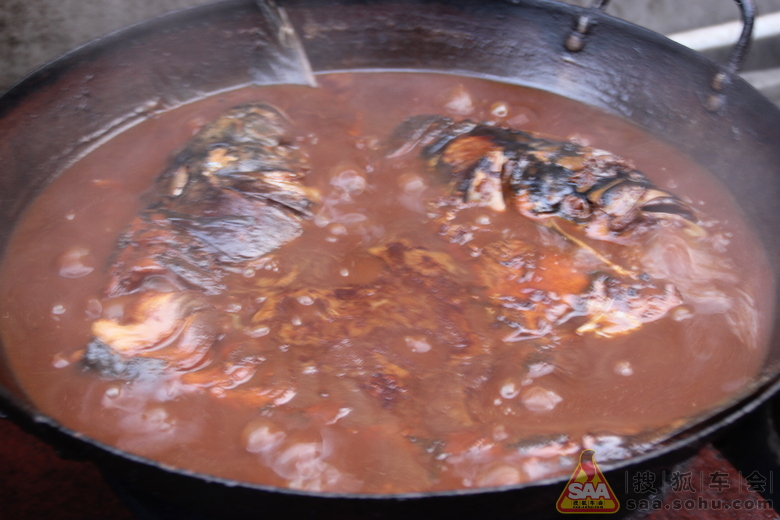 Img4174082_780.JPG