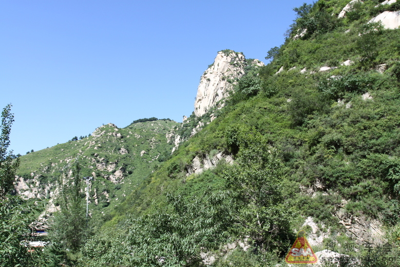 Img8594882_780.JPG