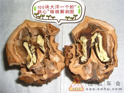 Img3050690_780.jpg