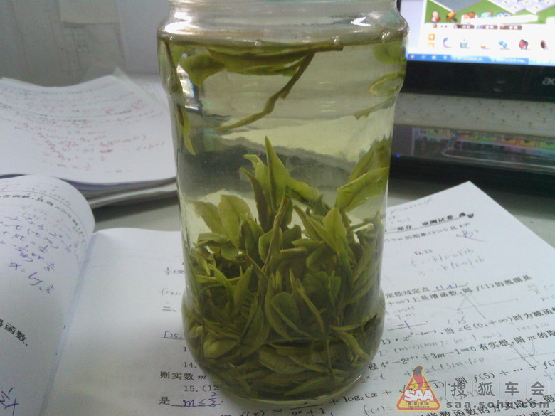 Img4488390_780.jpg