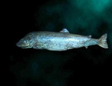 Img1686294_780.jpg